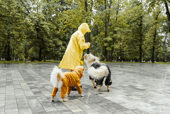pets